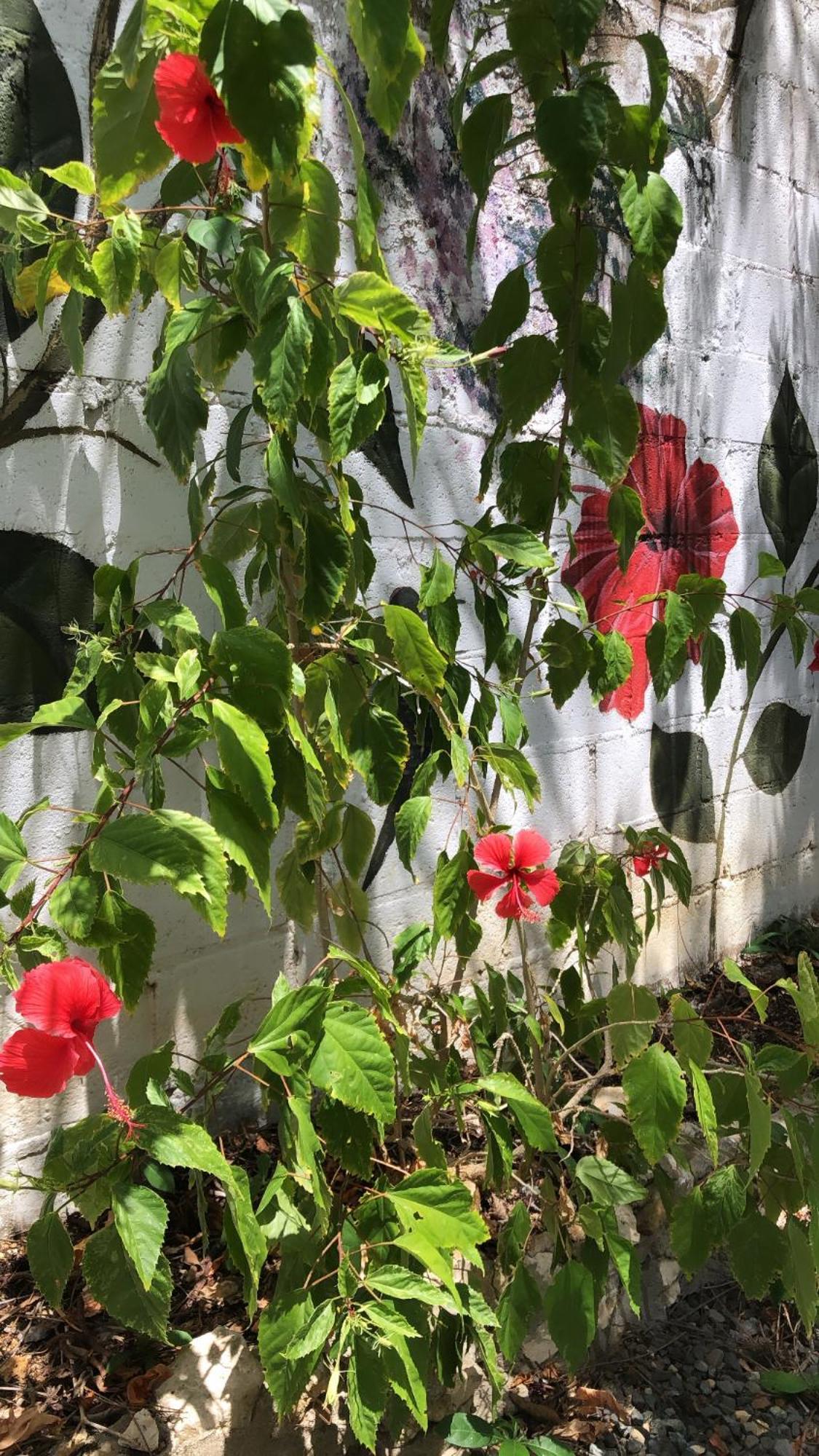 Casona La Carolina Βίλα San Andrés Εξωτερικό φωτογραφία